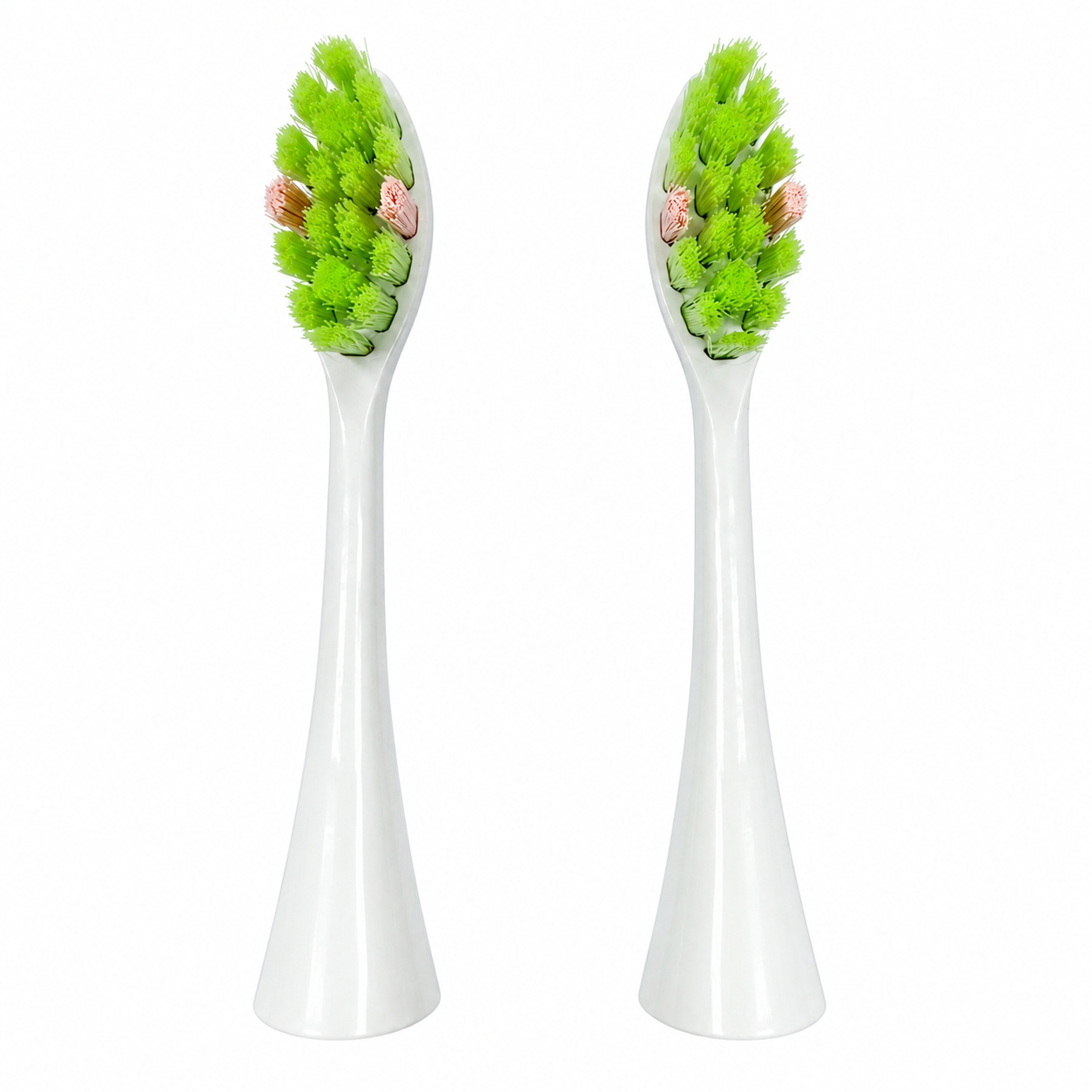 NeoFloss Replacement Heads 2-Pack